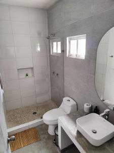 帕拉斯德拉富恩特Huerto Don Antonio的浴室配有卫生间、淋浴和盥洗盆。