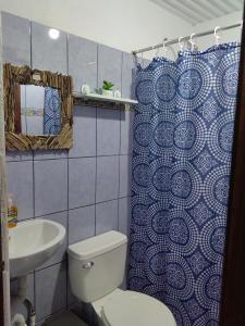 蓬塔雷纳斯Casa Victoria的一间带卫生间和淋浴帘的浴室