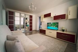 苏恰瓦Luxury Apartament Ultracentral of Suceava Esplanada的带沙发和平面电视的客厅