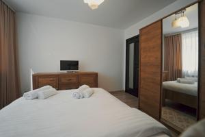 苏恰瓦Luxury Apartament Ultracentral of Suceava Esplanada的卧室配有白色的床和电视。