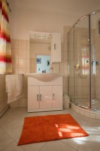 格拉茨Flataid Apartment Elisabethinergasse的一间带水槽、淋浴和地毯的浴室