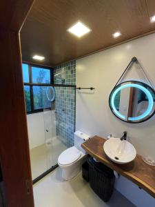 安谢塔Reserva Santa Helena的一间带卫生间、水槽和镜子的浴室