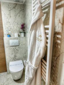 塞萨洛尼基Psimithefto Luxury Apartments的带淋浴帘和卫生间的浴室