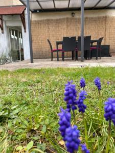 巴伦塔尔Le Refuge de l'Ours的院子里一束紫色的鲜花,有桌子