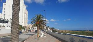 突尼斯Vip Tunisia center的一条在路边种有棕榈树的街道