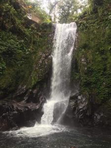 瓜皮莱斯Pozas Guacimo的山边瀑布
