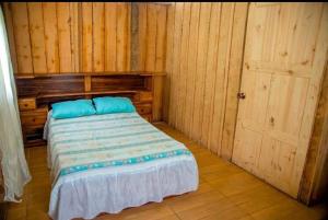 瓜皮莱斯Pozas Guacimo的一间卧室配有一张带蓝色枕头的床。