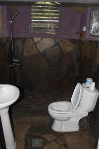 NyakinamaRed Rocks Rwanda - Bamboo Cottage的一间带卫生间和水槽的浴室