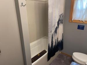 戈尔登Blaeberry Valley Vacation Rentals的带淋浴、卫生间和浴缸的浴室