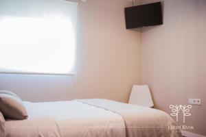 巴达霍斯HOSTAL ENTREOLIVOS的卧室配有一张床,墙上配有电视