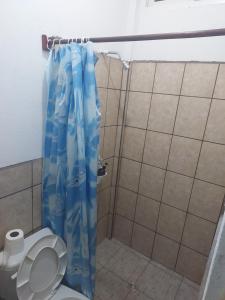 阿马蒂特兰APARTAMENTO AMATILAN的浴室设有蓝色淋浴帘和卫生间