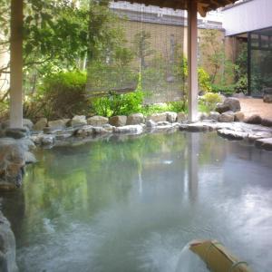 松江市榆科苏腾旅馆的一座带岩石的庭院里的水池