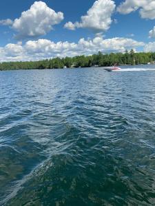 woodviewKerryAnne - North Kawartha Lakehouse with Hot Tub的一条大水面上的船