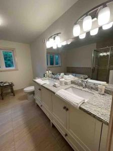 woodviewKerryAnne - North Kawartha Lakehouse with Hot Tub的一间带水槽、卫生间和镜子的浴室