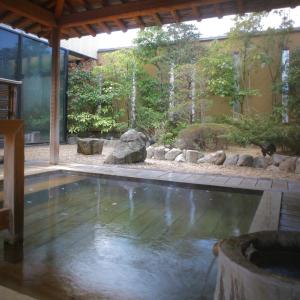松江市榆科苏腾旅馆的花园中的一个游泳池
