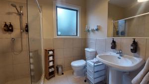 陶波金洛克乡村住宿加早餐旅馆的浴室配有卫生间、盥洗盆和淋浴。