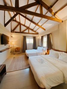 爱妮岛Nacpan Beach Villas的一间带两张床和电视的卧室