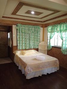 圣维森特Greenviews Resort & Restaurant Port Barton的一间卧室配有一张带绿色窗帘的床和窗户。