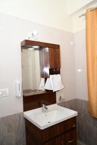 本贾尔Great Himalayan Nature View Resort的一间带水槽和镜子的浴室
