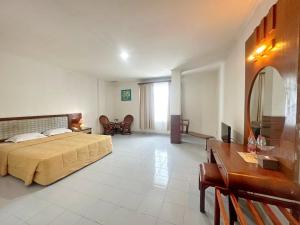 SibolgaHotel Wisata Indah Sibolga的一间卧室配有一张床、一张书桌和一面镜子