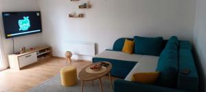 诺维萨德Vikendica DUNAV的客厅配有蓝色的沙发和电视