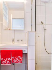 巴特莱辛哈尔Ferienwohnungen Quellenhof的一间带红色毛巾和淋浴的浴室