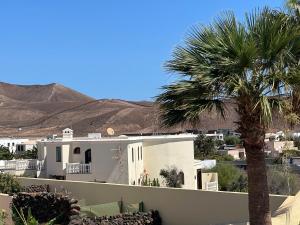特吉塞Luxury Canarian villa with large pool and apartment in Costa Teguise的前面有棕榈树的白色房子