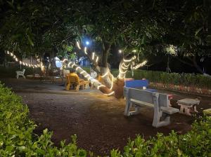萨三吉尔Renewed Jadeshwar Farm Resort的黄昏时坐在树下,泰迪熊雕像