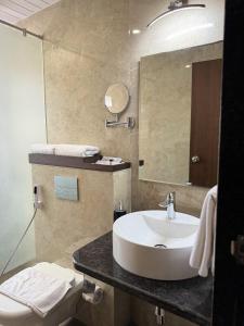 罗纳瓦拉Mastiff Grand La Villae的一间带水槽、镜子和卫生间的浴室