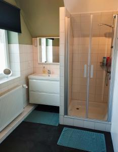 诺德霍恩Ferienwohnung Adriane的带淋浴和盥洗盆的浴室
