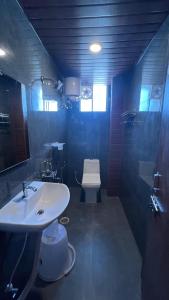 海得拉巴Wild Wings Premium Hotel的一间带水槽和卫生间的浴室