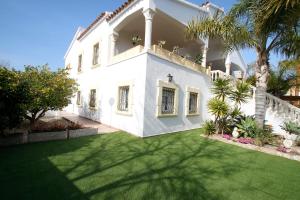 坎布里尔斯Villa Gladiols的白色的房子,拥有棕榈树的绿色庭院