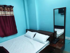 德奥加尔Hotel Ambika的蓝色客房 - 带一张带镜子的床