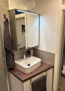 韦特海姆LIVE-IN Tiny Studiowohnung的一间带水槽和镜子的浴室