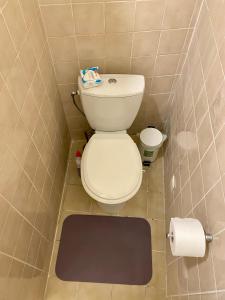 迪南Maison Mǔso的一间带卫生间和地毯的小浴室