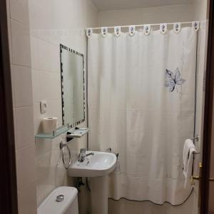 马德里泛美旅馆的一间带水槽和淋浴帘的浴室