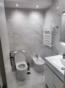 阿马多拉Vista Panorâmica RC Amadora的白色的浴室设有卫生间和水槽。