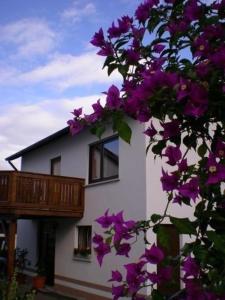 EhrenbergFerienhaus Casa Maria的一座在前面布满紫色花的建筑
