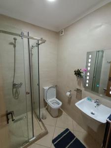 艾西拉Appartement de vacances BERALMAR CHEZ HOUDA的带淋浴、卫生间和盥洗盆的浴室