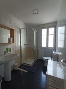 毕尔巴鄂苏维亚城市客房旅馆的带淋浴、盥洗盆和卫生间的浴室