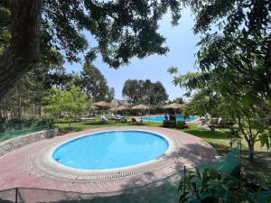 MalaBungalows de Casa Verde的度假酒店的游泳池