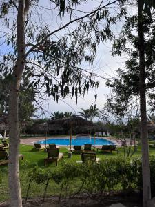 MalaBungalows de Casa Verde的公园里一组椅子,有一个游泳池
