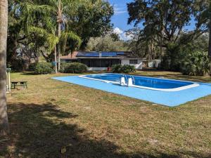 坦帕Executive Pool Home的一座房子的院子内的游泳池