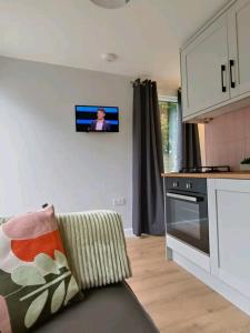 埃文河畔斯特拉特福The Annex, Stratford Upon-Avon的客厅配有沙发和墙上的电视