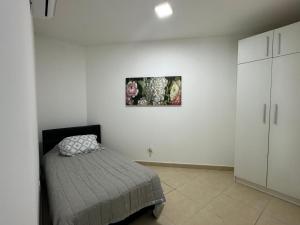 巴拿马城Apartamento en Panama y Punta Pacífica, Céntrico y Costa de Panamá的卧室配有一张床,墙上挂着一幅画