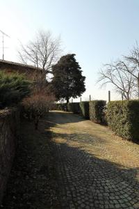 TarcentoViscardo的一条有灌木和一棵树的鹅卵石步道