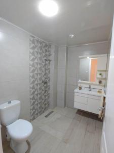 贝贾亚Appartement T2 avec terrasse et Vue mer à Béjaïa proche plage的一间带卫生间、水槽和镜子的浴室