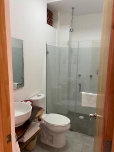 瓦哈卡市Santa Cecilia Hotel的一间带卫生间和玻璃淋浴间的浴室