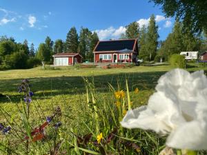 SkinnskattebergSjöutsikt, Röd trästuga med traditionellt yttre Skandinavisk, modernt inre och alla bekvämligheter, Sol hela dagen på stora altanen, Tryggt, Vinterbonat, Fiske, Båt的花丛中的房子