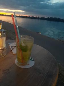 贝尔格莱德River Hostel Belgrade的坐在水边的桌子上喝一杯